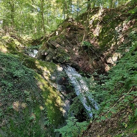 Ferienwohnung Zum Hirschen Herzberg am Harz Eksteriør bilde
