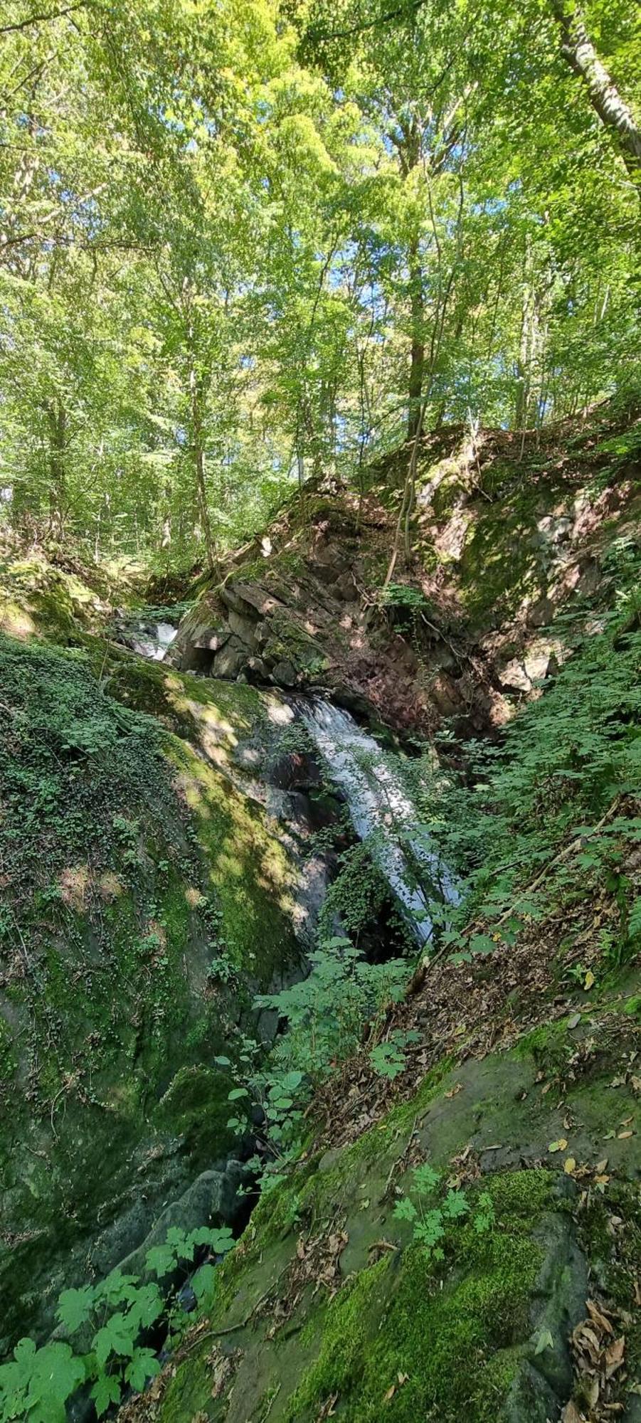 Ferienwohnung Zum Hirschen Herzberg am Harz Eksteriør bilde