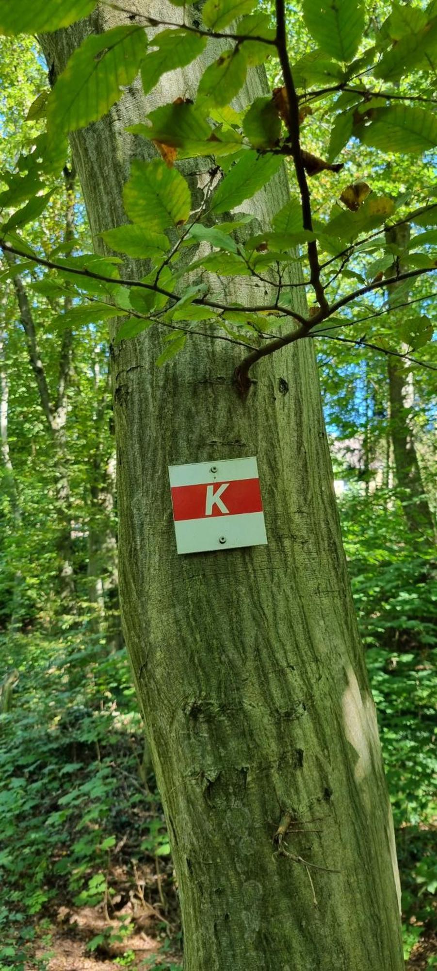 Ferienwohnung Zum Hirschen Herzberg am Harz Eksteriør bilde